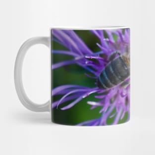 Bee On Purple Flower Mug